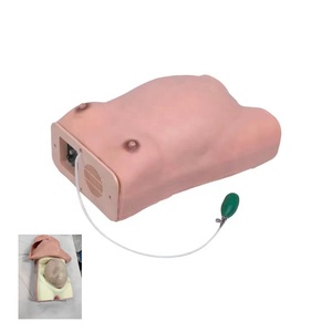 Modelo de Parto para Entrenamiento Médico, Simulador de Nacimiento para Enfermería, Modelo de Maternidad Avanzado - Product Image 1