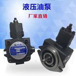 Jylsi Variable Vane Pump Vho 1 Stage Cast <b>Iron</b> Hydraulic Pump For Chemical Applications - Product Image 3
