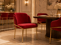 Chaises de salle à manger de style nordique minimaliste moderne, pieds en acier, mobilier de luxe pour la maison, utilisation en restaurant, structure métallique, fonction rafraîchissante