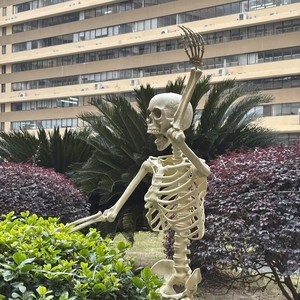 Nuevo Esqueleto Humano Gigante Realista de 152 cm (60 Pulgadas/10 pies) para Decoración de Jardín, Ideal para Accesorios de Halloween al Aire Libre, 2026 - Product Image 4