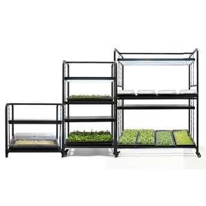 Système de culture à 2 niveaux en fer pour jardin de cuisine, support de plantes à hauteur réglable pour micro-légumes, herbes et plantes succulentes - Product Image 1