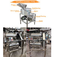 Industriële fruitpulpmachine van roestvrij staal 304 voor de productie van mango- en abrikozenpulpjam