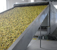 Automatische turnkey hetelucht droogmachine met stoom, elektrische en gasverwarming voor het drogen van fruit, groenten, uien, knoflook en peper.