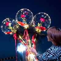 Bouquet de Roses Lumineuses Saint-Valentin, Ballon Bobo LED Lumineux pour Cadeau, Ballon Bulle LED Brillant dans le Noir