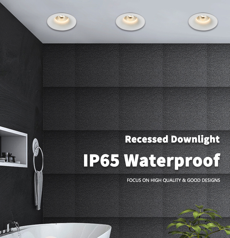 Recessed Waterproof IP65 Downlight