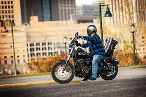 Logo personnalisé d'usine Sissy Bar Straps Duffle Tail Seat Bag Backpack Freeloader Motorcycle Travel Bagages Pack - Product Image 2