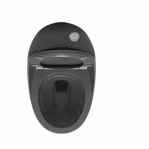 Inodoro de una Pieza Color Gris Caracol para Estilo Moderno/Europeo/Costero/Rústico/Japonés/Asiático - Product Image 3