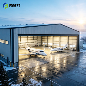 Hangar d'aviation modulaire préfabriqué en acier ignifuge à grande portée pour entrepôt et bâtiment d'entretien d'avions - Product Image 1