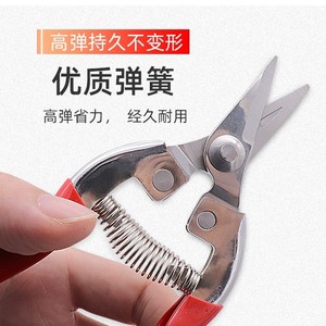 Nice <b>Pruning</b> Shears Stainless Steel Straight Head Garden <b>Tool</b> For Fruit <b>Tree</b> Trimming - Product Image 2