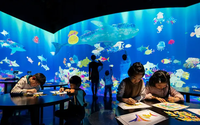 Sistema de Juegos de Proyección 3D Educativo Interactivo para Niños, Arte Interactivo, Exhibición de Proyección en Pared, Equipo de Publicidad