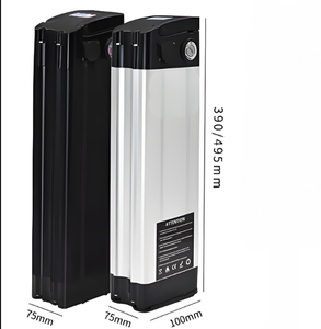 실버 물고기 전자 자전거 48V 20ah 30ah 전기 자전거 배터리 18650/21700 리튬 이온 팩 500W 1000W 1500W 모터 - Product Image 1