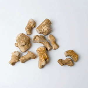 ของเล่นไม้กาแฟธรรมชาติขนาดเล็กสำหรับเคี้ยว ช่วยส่งเสริมการเคี้ยวอย่างสงบและช่วยทำความสะอาดฟัน จากเวียดนาม - Product Image 1