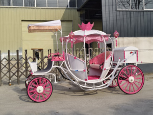 Carroza de Calabaza Real Grande en Oferta, Carroza de Cenicienta Rosa Princesa, Carroza Nupcial para Bodas - Product Image 2