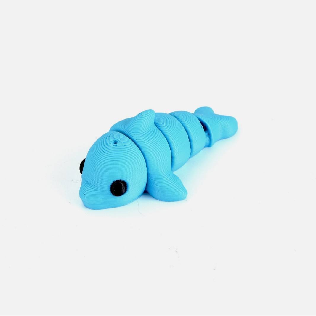 ปลาโลมา