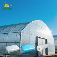 Film plastique pour serre de jardin 200 microns anti-rupture renforcé pour utilisation extérieure pour les légumes