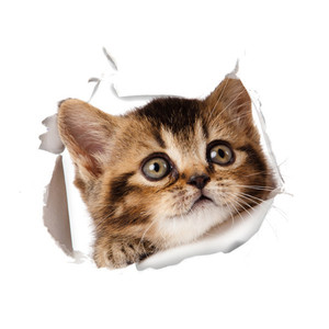 Autocollants muraux 3D amovibles imperméables motif chat mignon, décalcomanies de voiture <span class=keywords><strong>Simons</strong></span> Cat, décoration intérieure, impression offset personnalisée - Product Image 3