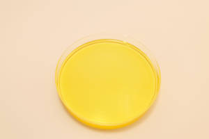 Оптовая продажа, экстракт Ganoderma <span class=keywords><strong>Lucidum</strong></span>, порошок, травяной экстракт, Экстракт Рейши, органическое споровое масло - Product Image 2