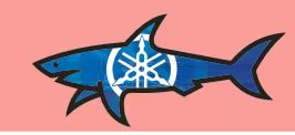 25 autocollants requin Paul & Shark de haute qualité, livraison rapide, meilleure vente, autocollants décoratifs requin - Product Image 4
