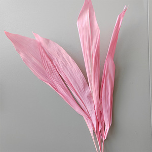 Decoración <span class=keywords><strong>de</strong></span> boda para el hogar Flores secas Blanqueadas Blanco Eterno Conservado Orquídea Manojo <span class=keywords><strong>de</strong></span> <span class=keywords><strong>hojas</strong></span> <span class=keywords><strong>de</strong></span> <span class=keywords><strong>Magnolia</strong></span> secas - Product Image 3