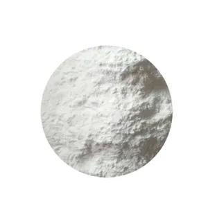 High Quality 100% Pure Ptfe Powder PTFE Powder Resin