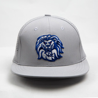 Casquette de baseball à 6 panneaux avec logos 3D brodés, visière plate, broderie, spandex, découpe laser, trous pour l'extérieur - Vente en gros