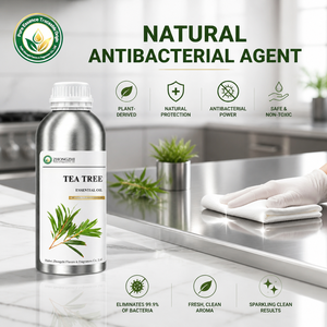 Agent antibactérien naturel Huile d'<span class=keywords><strong>arbre</strong></span> à thé (Melaleuca Alternifolia) pour la désinfection et la purification des surfaces - Product Image 1