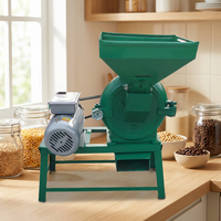 Machine à moudre électrique haute vitesse pour usage domestique, pour herbes sèches et céréales