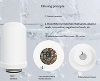 Robinet de cuisine domestique à charbon actif purificateur d'eau filtre en céramique nettoyable robinet à noyau meilleur filtre à eau robinet d'évier