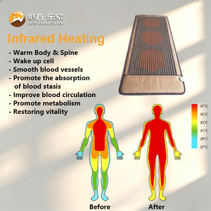 Jiwan Lejia, Colchoneta de Masaje de Jade y Turmalina Estilo Diamante Coreano, Bio Mat, Almohadillas de Calor Infrarrojas para Relajación Muscular, Gran Venta - Product Image 3