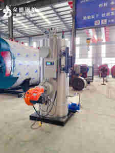 Generador de vapor de gas de 200kg 300kg 500kg 700kg 1000kg para planta procesadora de alimentos, lavandería, Hospital - Product Image 2