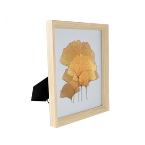 Hiện đại <span class=keywords><strong>DIY</strong></span> Khung ảnh bằng gỗ với kính cho trang trí nội thất tùy chỉnh-kích thước thực vật mẫu hộp hiển thị sáng tạo mẫu khung - Product Image 6