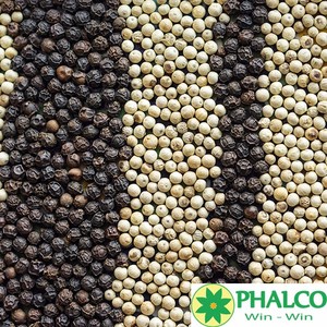 Pimienta Negra de Vietnam de Primera Calidad, 5MM, Pimienta Gruesa con Aroma Intenso y Alto Contenido de Piperina, Venta Caliente - Product Image 6