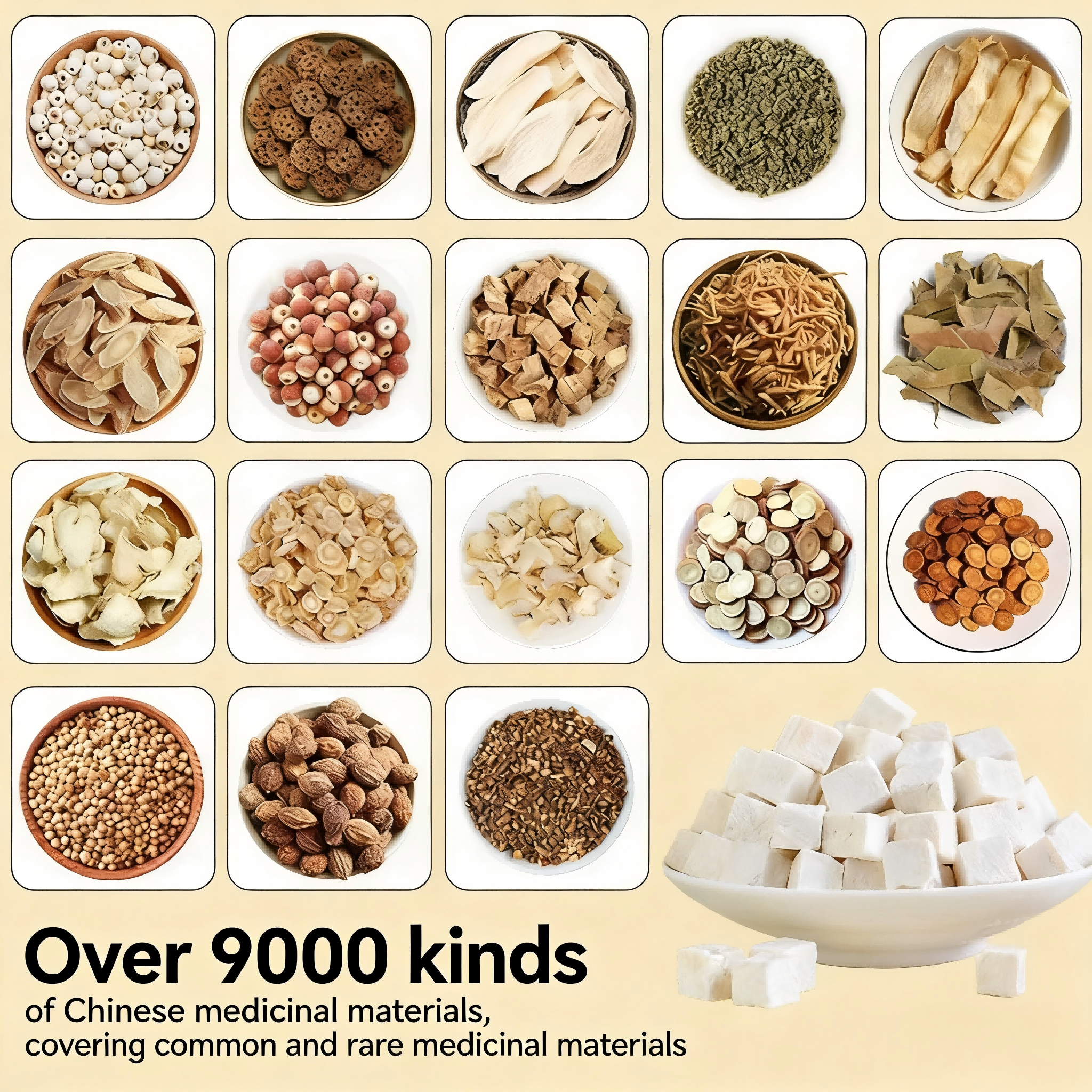 Wholesale Retail Store Chinese Medicinal Materials Herbal Services Fulitang Manufacturer Anhui-Dispensing Nourishing Agents