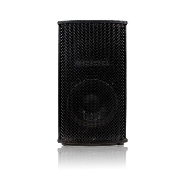 150W Passive PA System Stage Speaker for Concert Live Performance High Power Audio Equipment