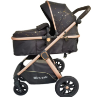 Wisesonle Luxe Léger 2-en-1 Poussette Pliable pour Bébé Facile à Transporter Buggy de Voyage Vente en Gros en Usine