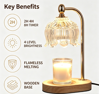 Lampe chauffe-bougie électrique dorée avec minuterie et variateur d'intensité, cadeau pour femme, pour faire fondre la cire