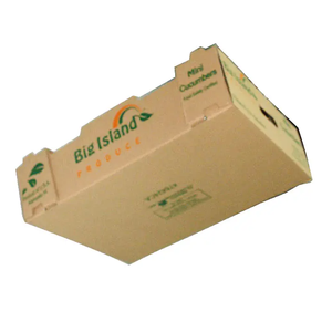 Caja de Cartón para Cultivo de Hongos Frescos con Asa, Caja de Pulpa Reciclable - Product Image 2