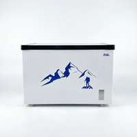 Congélateur coffre commercial 200L à ouverture par le haut, porte simple, refroidissement direct, horizontal, pour supermarché