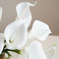 Bouquet de mariée beauté PU blanc vraie touche fleur artificielle Mini Calla Lily pour la décoration de jardin à la maison