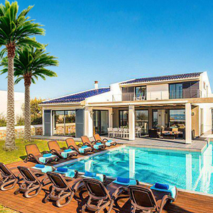 Villa Hôtel Paysage Toutes Sortes Palmiers Artificiels - Product Image 5