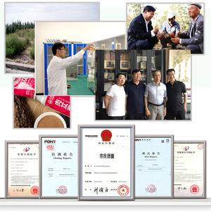 100% naturale estratto di semi d'uva Opc puro estratto di semi d'uva in polvere integratori naturali - Product Image 6