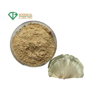 Natürliche Lotus Leaf Extract Pulver 1% 2% 5% 10% 50% 98% Nuciferin