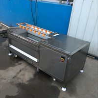 Machine de traitement du garri de petite taille 600 mm, rouleau brosse, machine à laver les ignames, le manioc, les patates douces, les légumes et les fruits