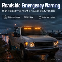 Feux stroboscopiques d'urgence BIAOCHI pour pare-brise, barre lumineuse avec ventouses pour véhicules de construction, voitures, camions