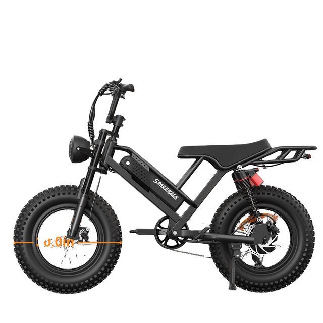48V 750W All-terrain Mountain E-bike Local Stock 20 Inch Fat Tire Electric Bike with 7-Speed Gears for Teenager with Rear Rack