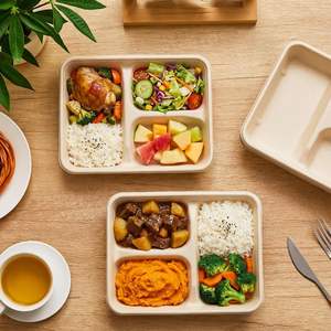 Barquettes alimentaires jetables biodégradables en bagasse de canne à sucre, 4 à 5 compartiments, assiette en papier pour restaurant - Product Image 6