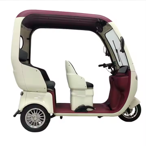 Nouveau tricycle électrique adulte à carrosserie ouverte, pas cher, 2 <span class=keywords><strong>places</strong></span>, tricycle électrique à trois roues, longue autonomie - Product Image 2