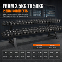 Набор гантелей VIGFIT Premium Free Weight Equipment Solution с индивидуальным логотипом, 12-гранные гантели черного цвета для фитнес-центров