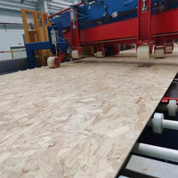 OSB d'usine 4x8 Épaisseur de 6 mm à 35 mm OSB Imperméable OSB