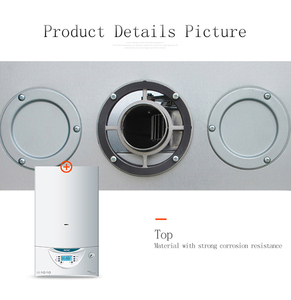ROC新著名的中国水泵壁挂式天然气锅炉即时热水房加热热水器家用 - Product Image 3